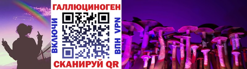 ссылка на мегу как войти как найти закладки Каневская Псилоцибиновые грибы Cubensis